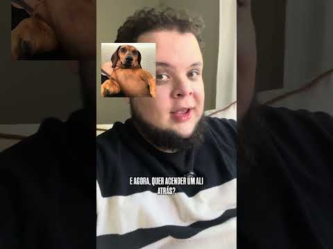 RAÇAS DE CACHORROS NUM DATE