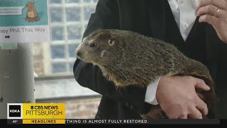 The legend behind Punxsutawney Phil