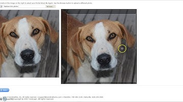 Matrix™ 7.0 Creating an Agent Profile for the Client Portal