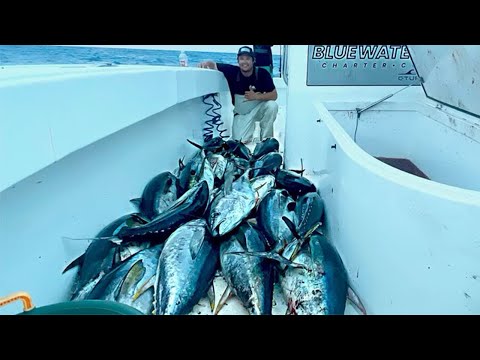 We Couldn't Fit Another Tuna in the Cooler | The 2 Day Trip that Lasted 8 Hours