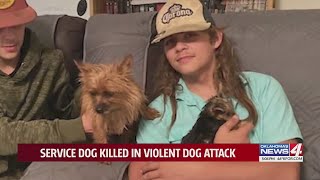 Family heartbroken after service dog died in violent dog attack