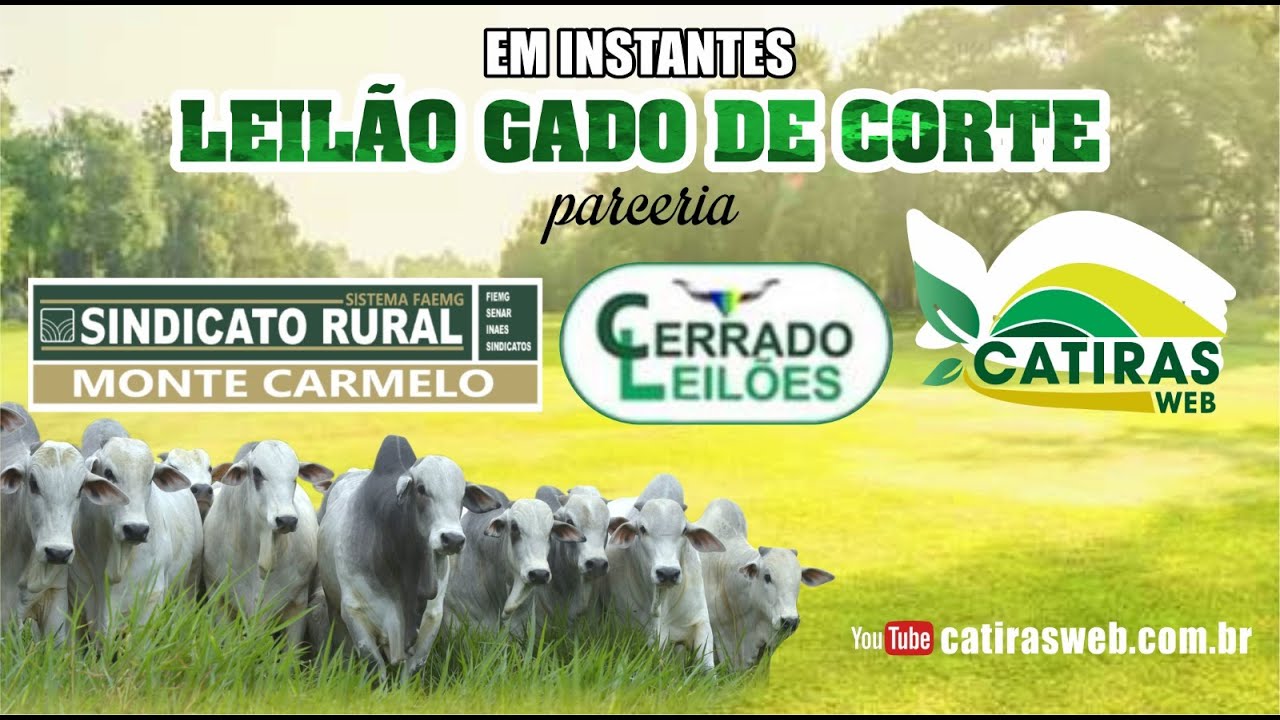 LEILÃO AO VIVO CERRADO LEILÕES E SINDICATO RURAL DE MONTE CARMELO - MG -  04 DE MARÇO DE 2026.