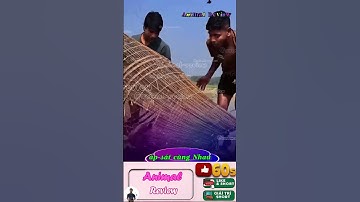 Người đàn ông phấn khích khi bắt được những con cá trê lớn