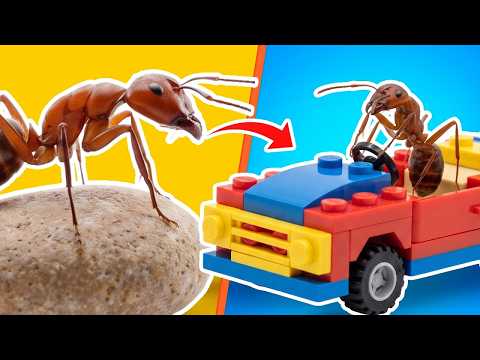 I built a LEGO city for an Ant