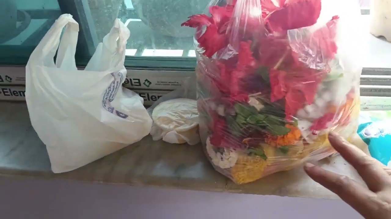 বাড়িতে ভক্তিভরে মহাদেবের পুজো সেরে। গেলাম ভাগ্নির বাড়ী 🙏🔱🙏#ভিডিও #ব্লগিং #পুজোর 