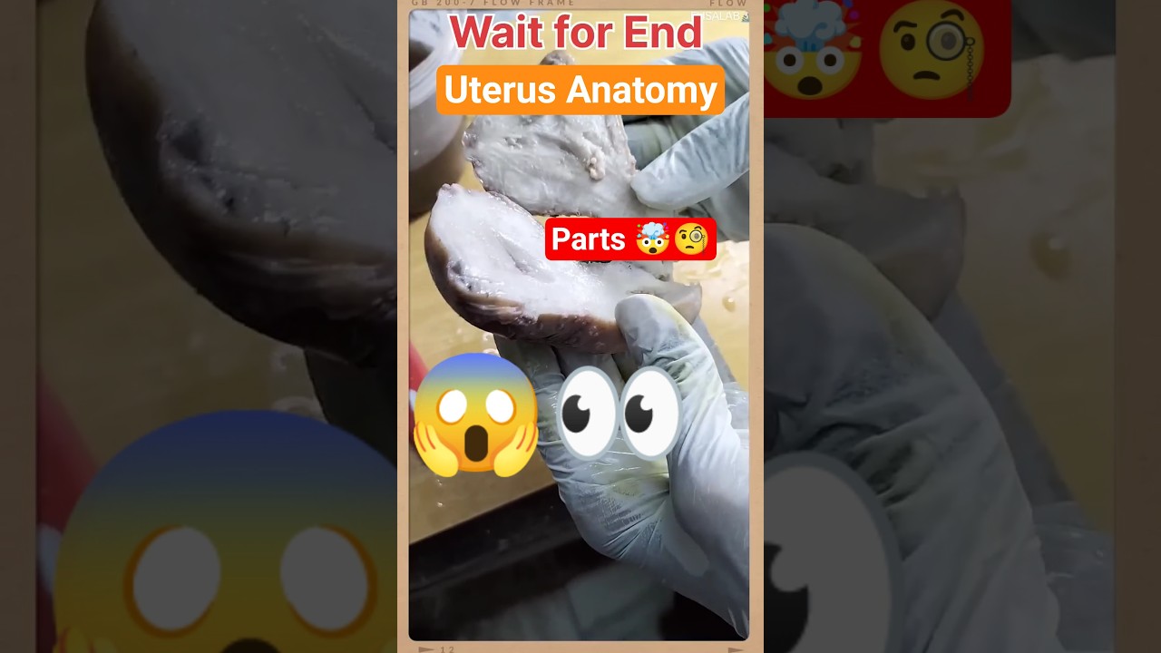 Real female reproductive system #biology #shortvideo #shorts #short