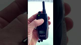 Dogtra 1900S Remote Training Collar