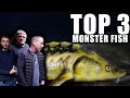 TOP 3 MONSTER aquarium FISH!!