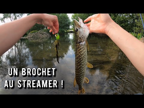 Débusquer les BROCHETS cachés dans les HERBIERS !