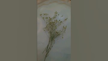 Resin Art Transition Video for y