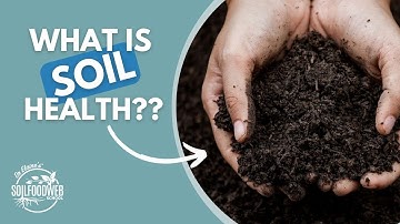 The Soil Food Web Movement Part 1: Understanding Soil Health