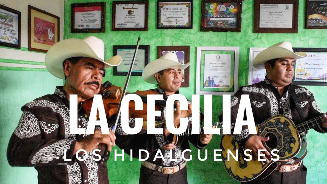El Trío Los Hidalguenses tocan 