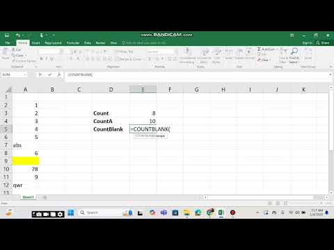 Count v/s CountA v/s CountBlank