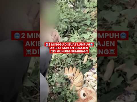 2 MINGGU DIBUAT LUMPUH! AKIBAT MAKAN SAJEN DI GUNUNG SUMBING #Shorts #pendakianhoror