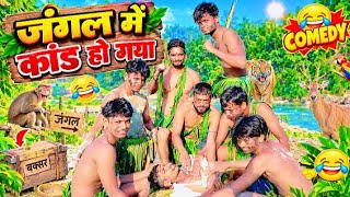 #video A Scandal in the Jungle || #Salamat Bedardi || #JungleScandal || Funny Comedy Video 2026