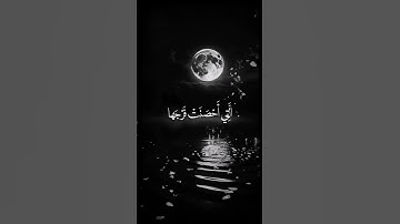 #القارئ محمود الشحات