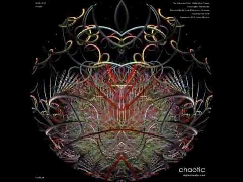 The Fulldome Nutcracker Suite: Waltz of the Flowers