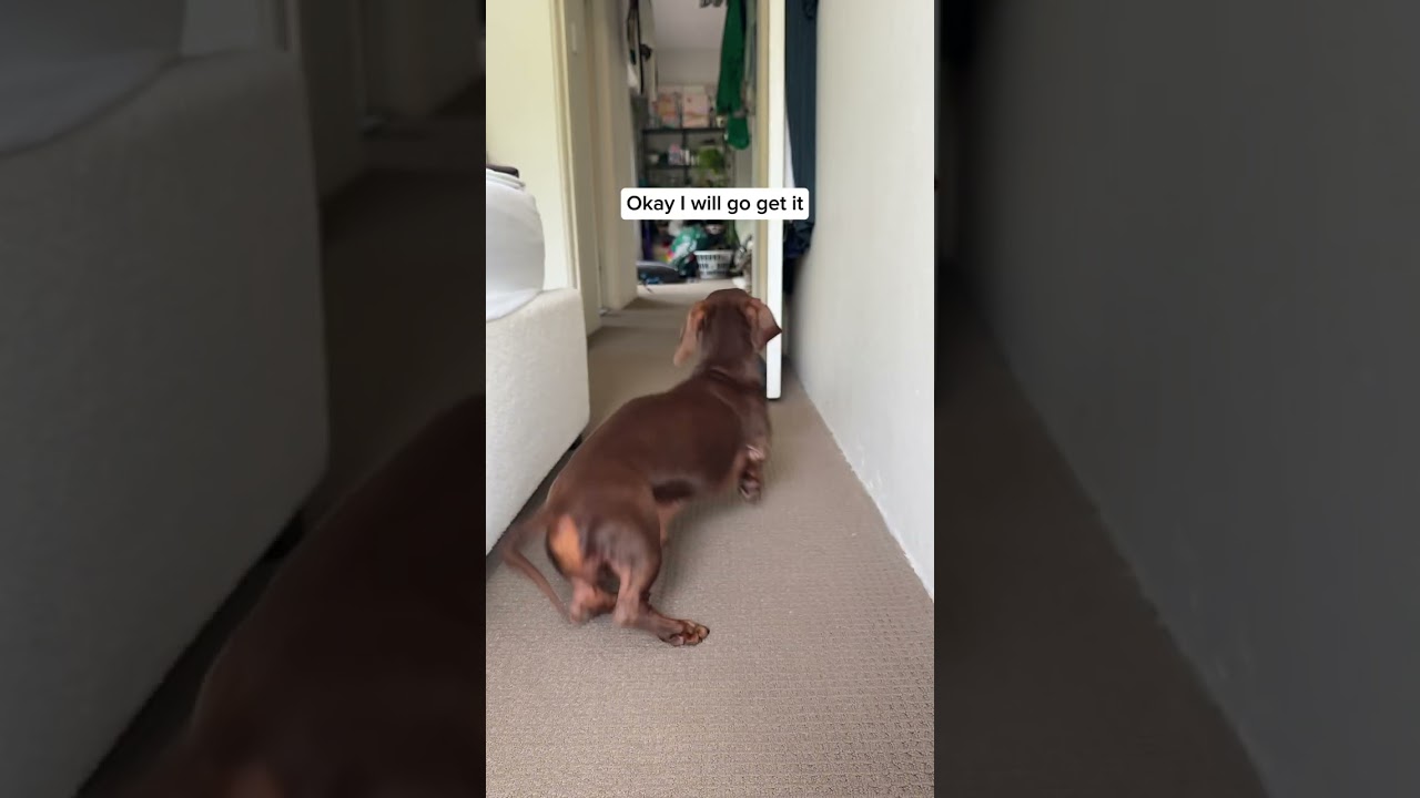 Do we like Darcy’s raincoat? 🥺🥺🥺 