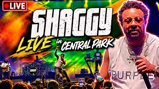 SHAGGYS Yaad: SHAGGY with Special Guests LIVE in Central Park NYC
Shaggys Yaad: Shaggy with Special Guests Robin Thicke and KES.
Shaggys Yaad: SHAGGY with Special Guests LIVE in Central Park NYC.
#shaggy
#robinthicke
#Kes
#live
#centralpark
#newyork SHAGGYS Yaad: SHAGGY with Special Guests LIVE in Central Park NYC