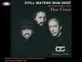 BEE GEES - Still Waters Run Deep - Extended Mix (Guly Mix)