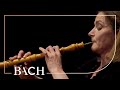 Bach  oboe concerto in f major bwv 1053r  black  netherlands bach society