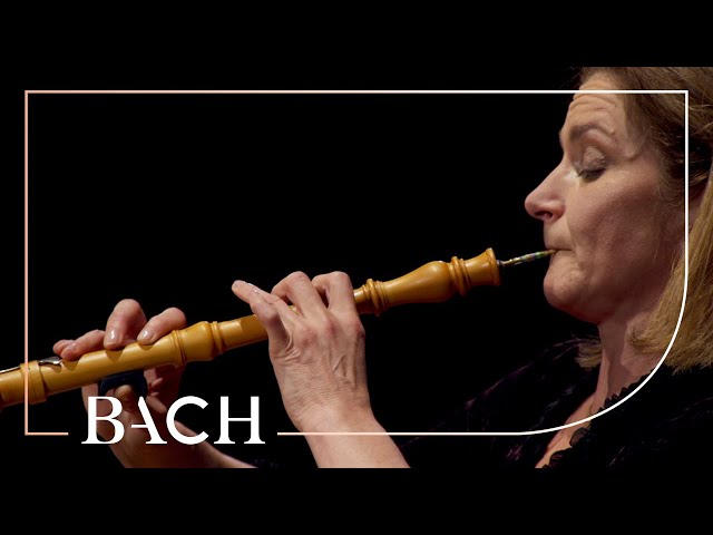 Bach - Oboe Concerto in F major BWV 1053r - Black | Netherlands Bach Society class=