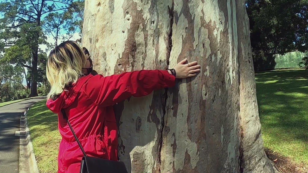 A walk in the park: Kings Domain & Royal Botanical Gardens (including tree hugs)