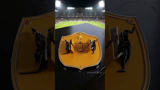 Satisfying Geometry Transforms into World Cup Teams! (Group D) #asmr #worldcup #soccer #football