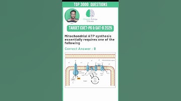 Master CUET PG & GAT-B 2025 with These Proven Strategies