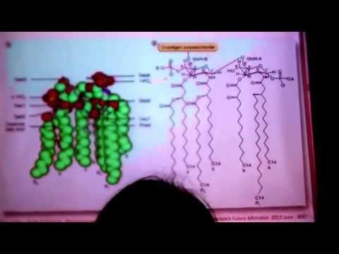 Vídeo: Bactsefort: Instrucciones Para Usar El Antibiótico, Análogos, Precio, Revisiones