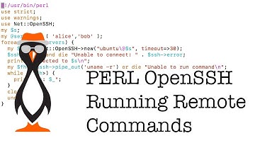 Running Commands Remotely with PERL Net::OpenSSH