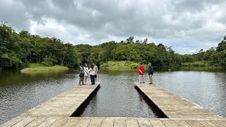 D Farm Sobrang Ganda, Hidden Paradise, Privately Owned Rainforest, Lakes, Coconut Plantation