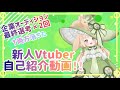 企業オーディション最終選考2回いって両方落ちた新人vtuber自己紹介！