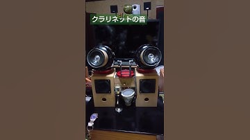 オーディオ サバイバルさんの音 2、コンクリートの音、素晴らしい音です。　#オーディオ　#shorts