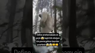 Şfet Şfetbeniöneçıkar Isavideolar シ