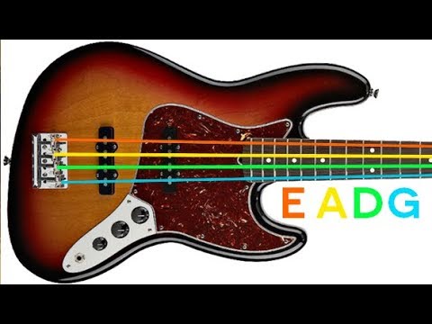 4-string-bass-guitar-tuner