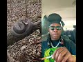 COUNT WITH ME Youtubeshorts Like Comment Subscribe Facts Viralreels Tiktok Shorts 