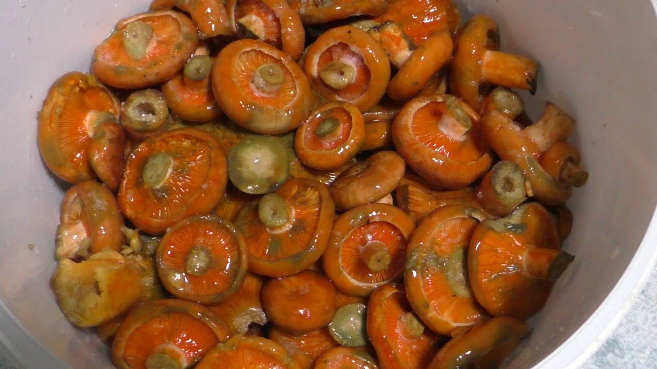 РЫЖИКИ В СОБСТВЕННОМ СОКУ! ПРОСТО И БОЖЕСТВЕННО ВКУСНО!