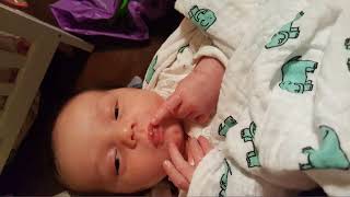 Muslin Baby Swaddle Blankets Neutral Receiving Blanket for Boys and Girls by aden + review