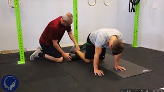 Hip Flexion in Quadruped with and without Assistance