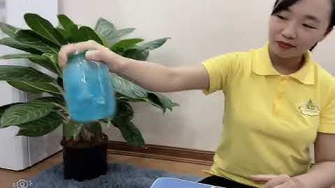 Thí nghiệm lốc xoáy mini