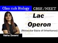12th | CBSE | NEET | Neha Swami | Bio | Bansal Classes | Lac Operon | Regulation of Gene Expression