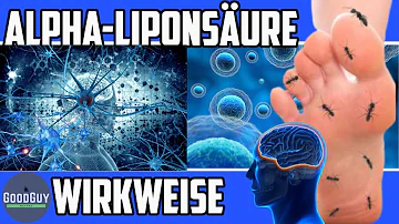 Was bewirkt Alpha-Linolensäure im Körper?