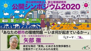 公開シンポ2020 「身近な海辺「里海」における生物多様性と生態系サービスにみられる変化」