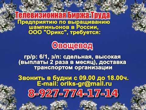 биржа труда пикалево