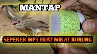 🔴Cuma Rp.40.000 🙄 cocok buat mp3 pikat burung