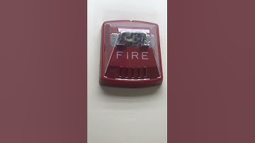 Wheelock exceder horn strobe fire alarm at Kroger Somerset Kentucky.?