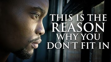 THE REAL REASON YOU DON