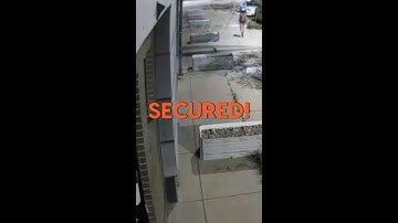 OW - Loitering Compilation (V).mp4