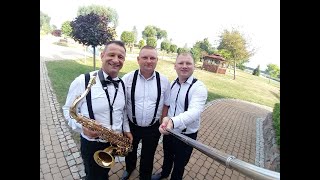 Piękna młoda - Herwid (cover)